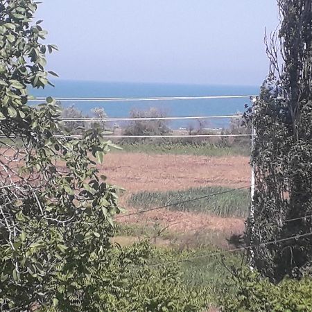 Bed and Breakfast Rey 2 Nabran Exterior foto